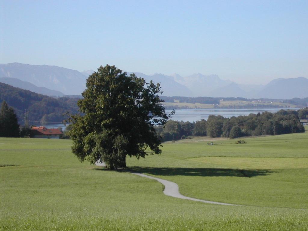 Ferienhotel Herzog Neumarkt am Wallersee Esterno foto